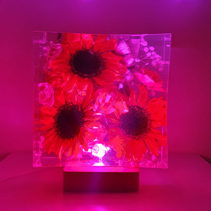 lampada girasoli media