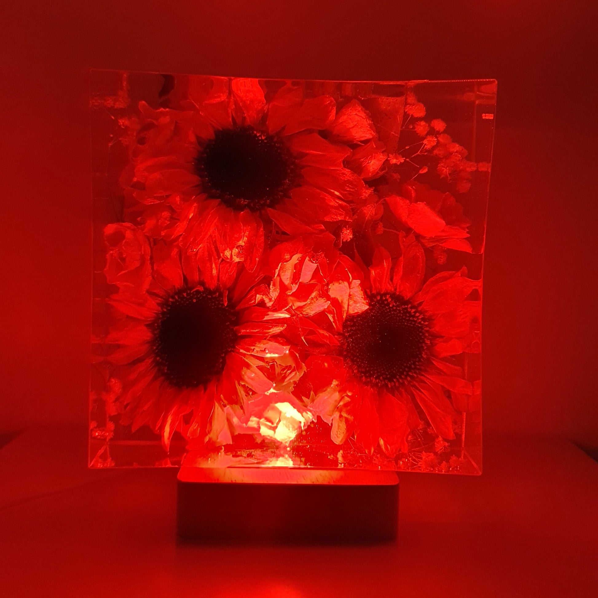 lampada girasoli media