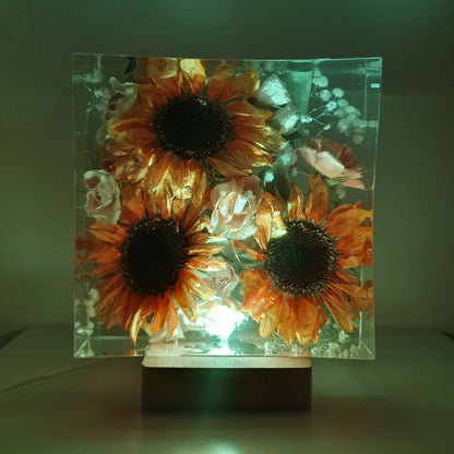 lampada girasoli media