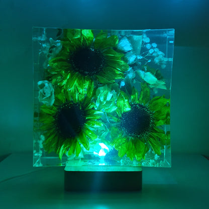 lampada girasoli media