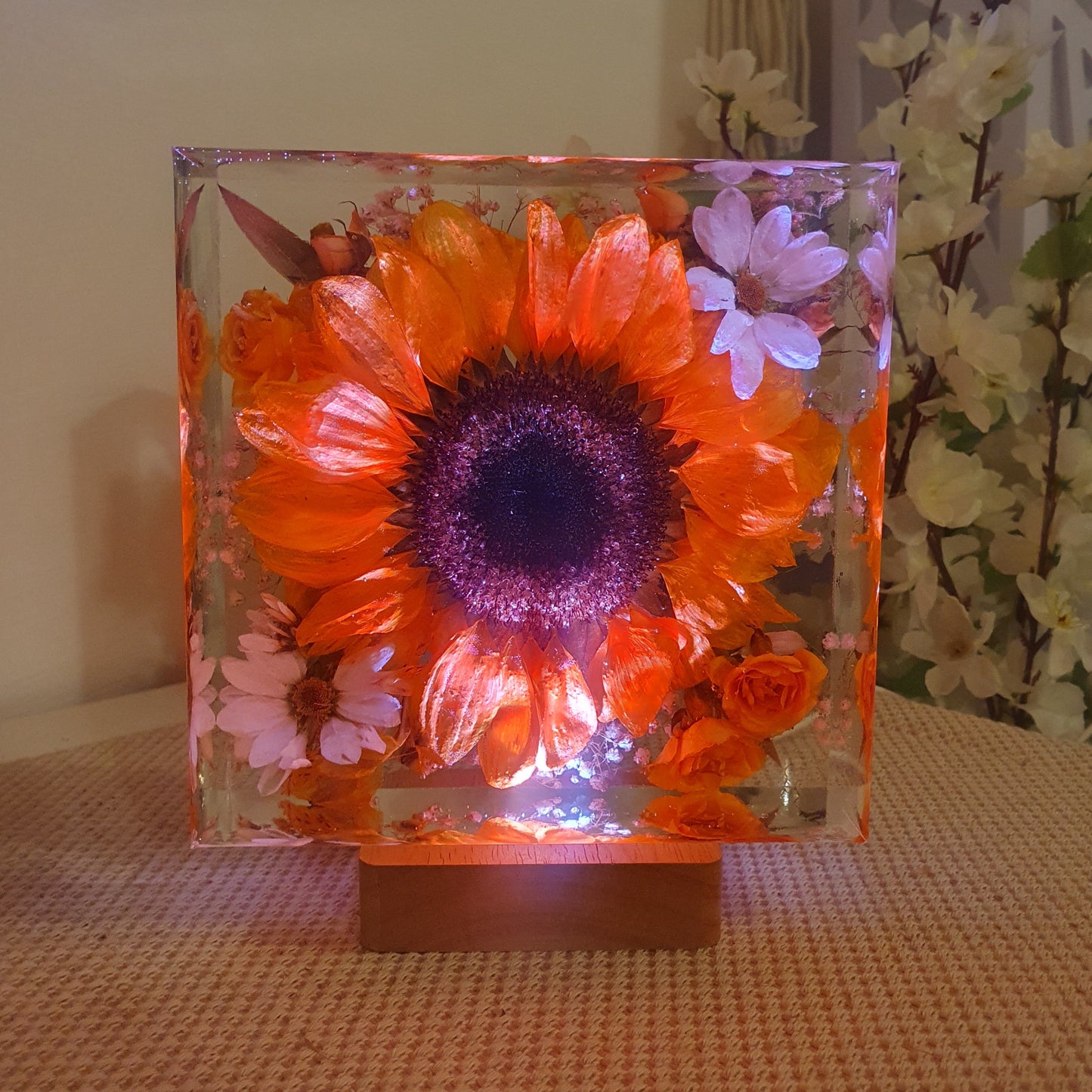 lampada girasoli media