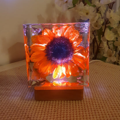 lampada girasoli mini