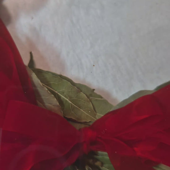 Conservazione corona di alloro in resina