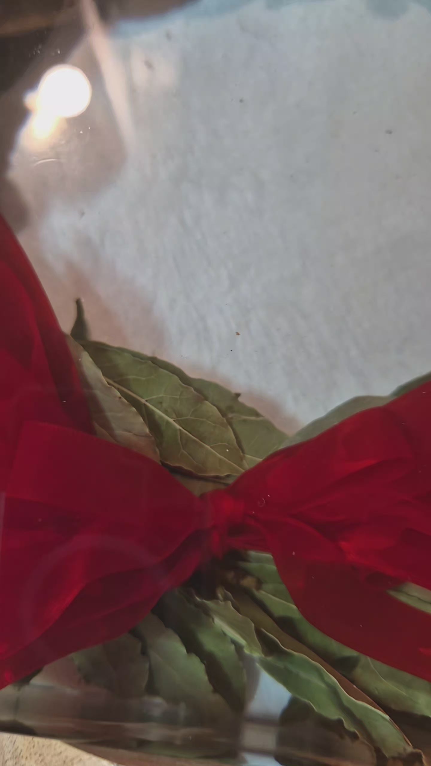 Conservazione corona di alloro in resina